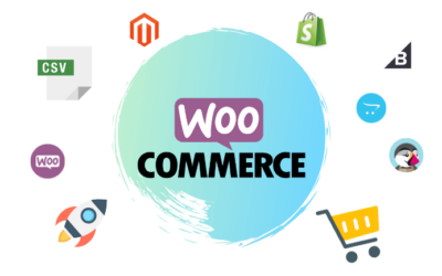 Bulk Edit WooCommerce Products